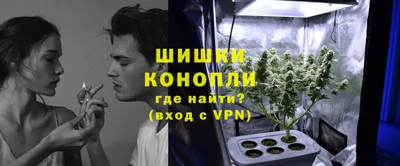 Конопля Bruce Banner  Кинешма 